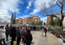 L’olivera de la Isabel