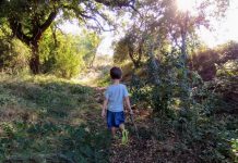 Tinc curiositat per…