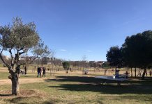 I sort del Parc dels Cavalls…