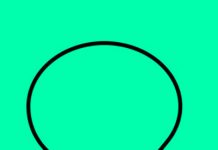 Carta a la classe política